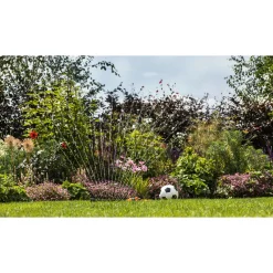 BOSCH DIY GARDENPUMP 18V-2000 HAVEPUMPE