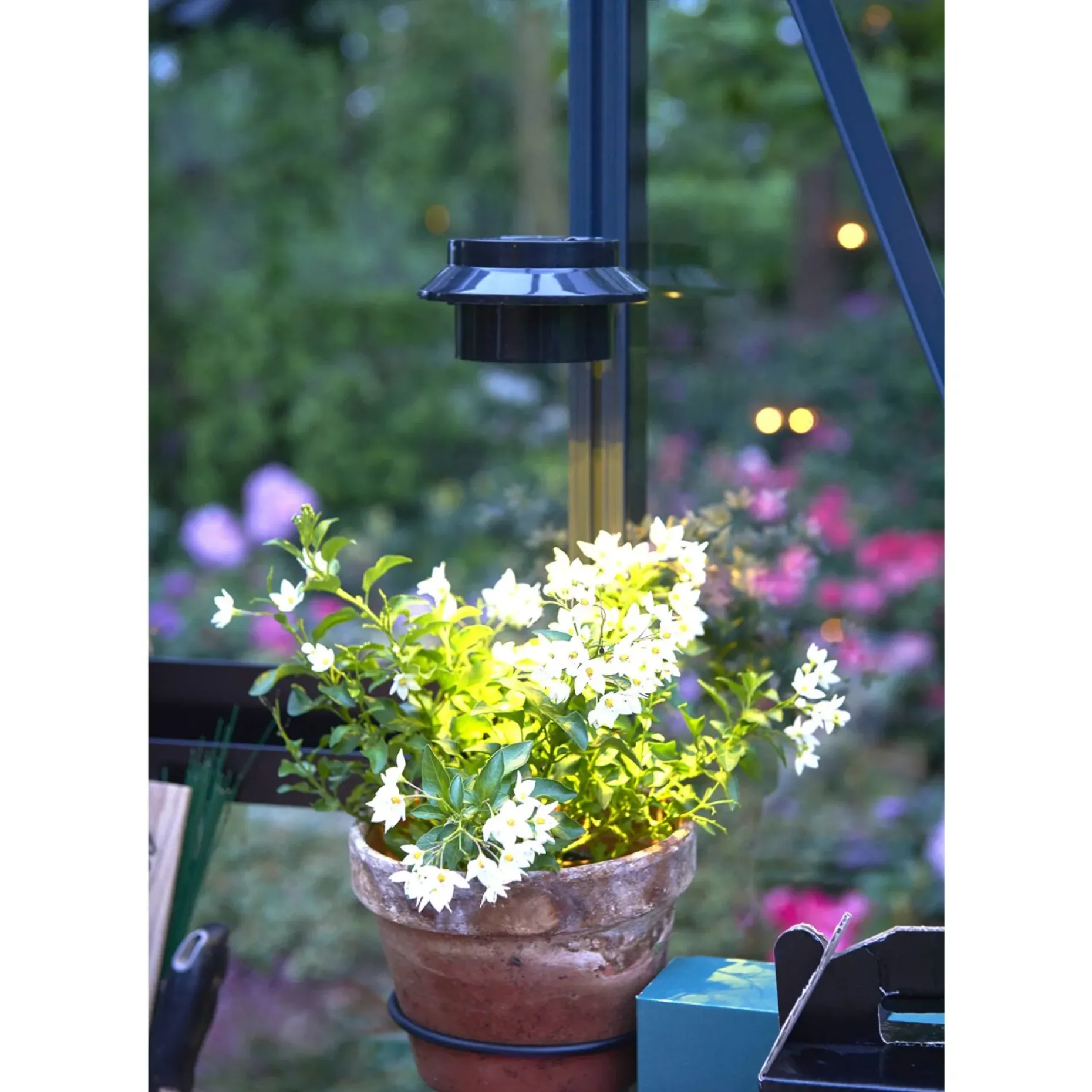 JULIANA SOLAR LED LAMPE