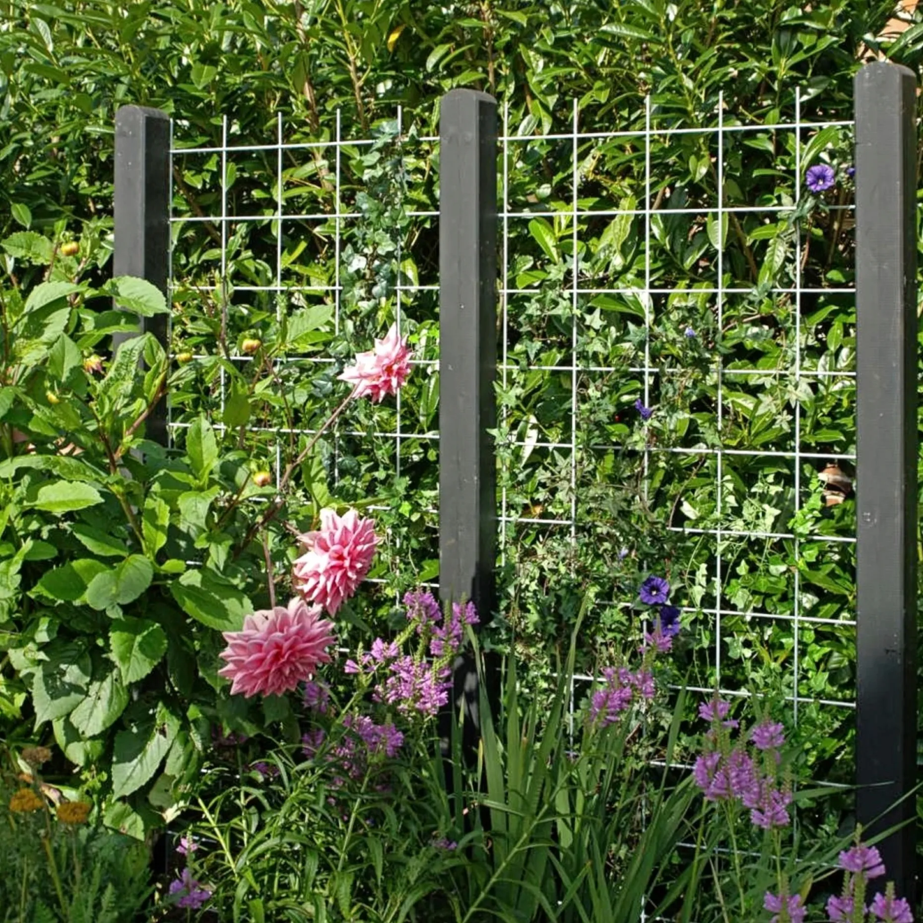 PLUS ESPALIER STÅL GALVANISERET LOOK 90 X 180 CM